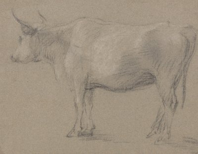 Study of a Cow by Thomas Gainsborough